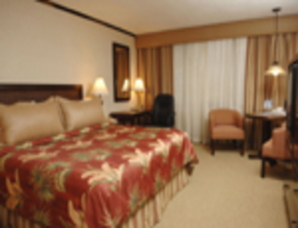 Aurola Holiday Inn Hotel