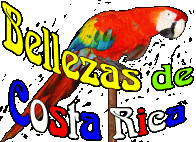 Bellezas de Costa Rica Logo