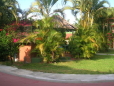 Picture 1