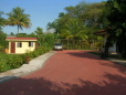 Picture 3