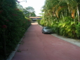 Picture 4