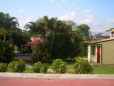 Picture 5