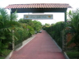 Picture 14