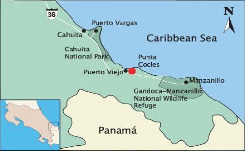 Map Totem Resort Hotel