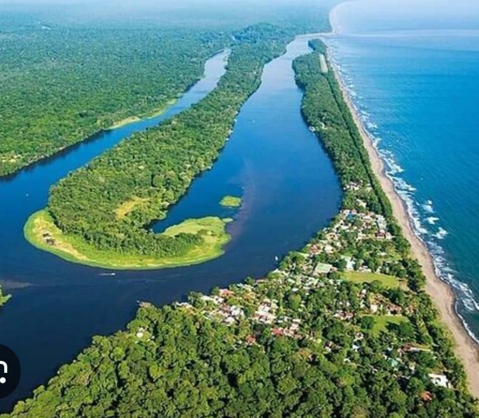 Tour Tortuguero Canales, Canals Picture 2