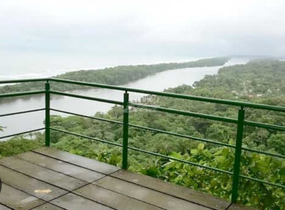 Tour Tortuguero Canales, Canals Picture 3