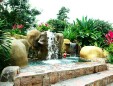 Picture N� 8width=