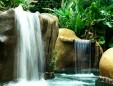 Picture N� 10width=