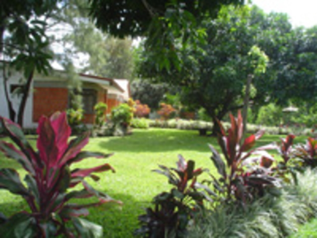 Picture N� 3width=