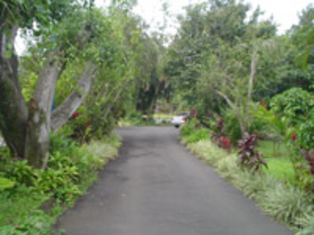 Picture N� 4width=