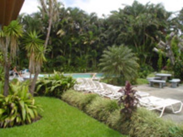 Picture N� 5width=