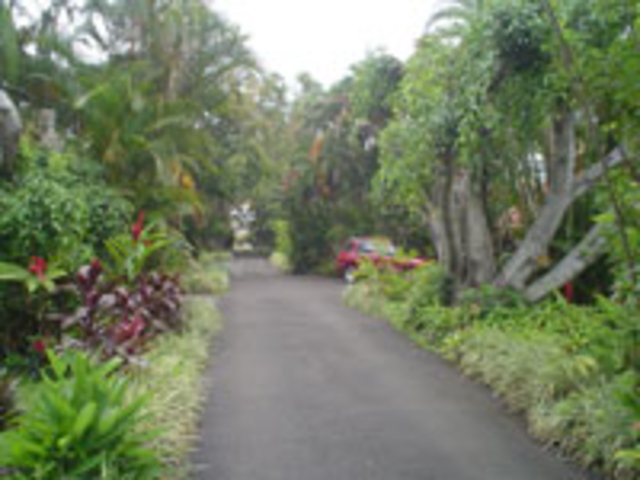 Picture N� 11width=