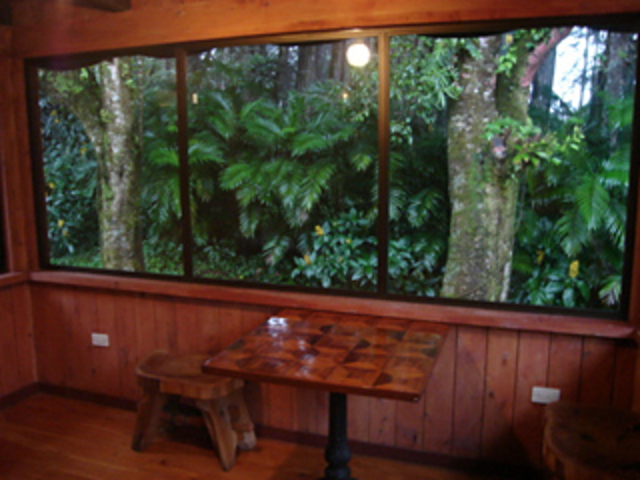 Picture N� 9width=