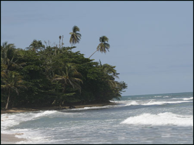 Picture N� 1width=