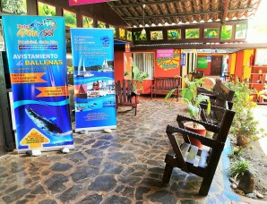 Cabinas Arena y Sol Hotel