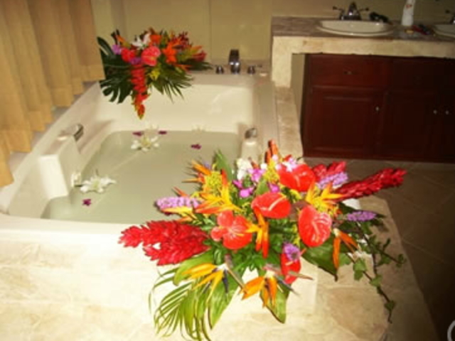 Picture N� 18width=