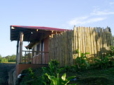 Picture 4