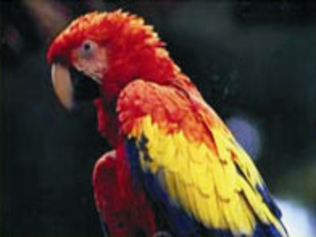 Picture N� 13width=