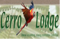 Logo Cerro Lodge Hotel