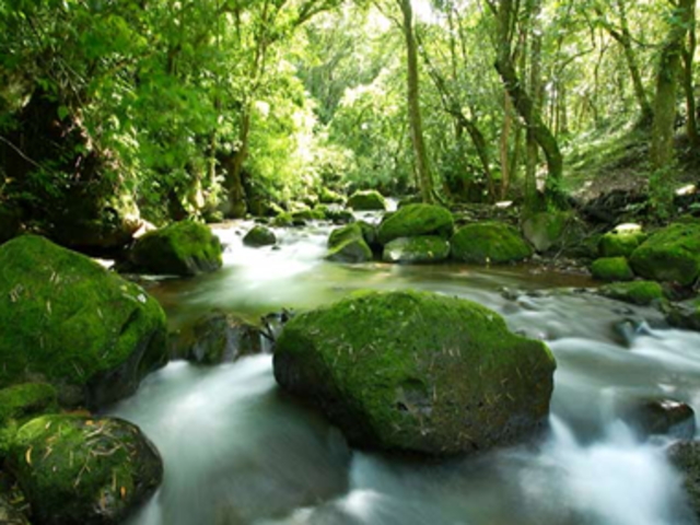 Picture N� 17width=