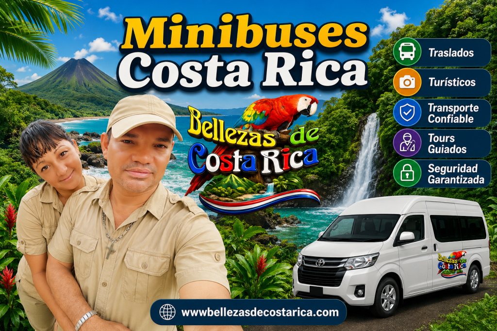 Minibuses