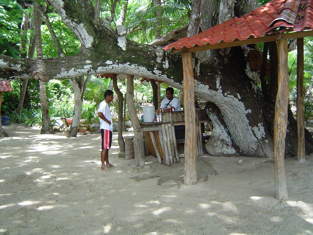 Isla Tortuga, Turtle Island Hotel