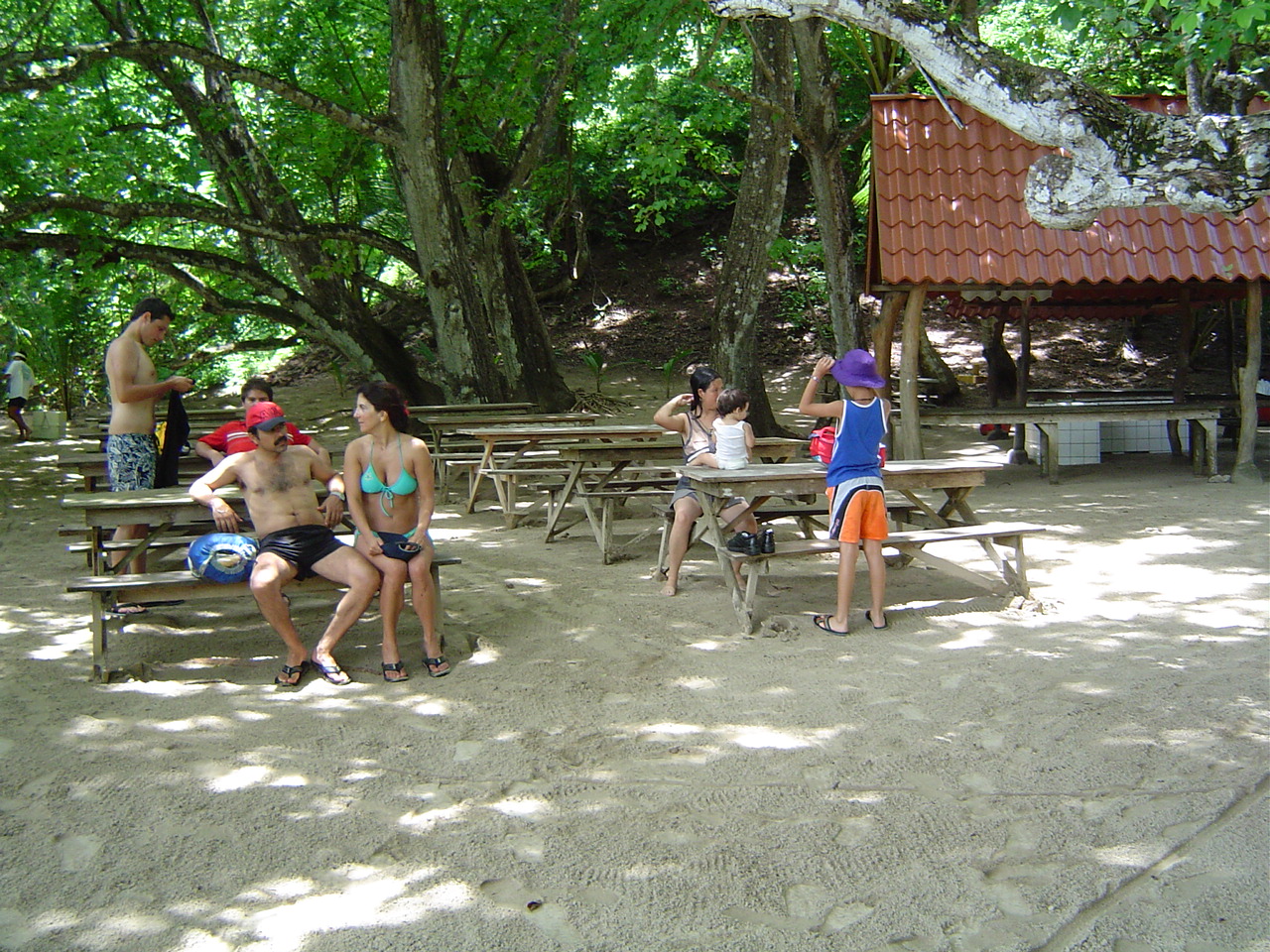Picture N&ordm; 5